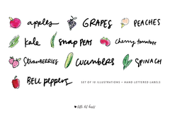 watercolor style handdrawn produce illustrations